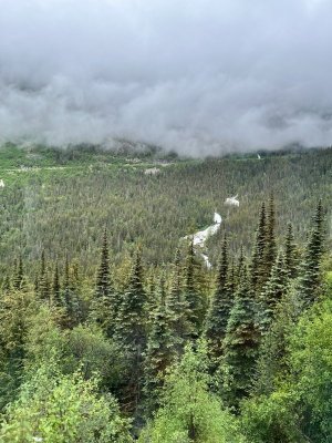IMG_2483.jpeg