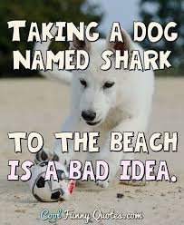 IMG_0312.jpeg