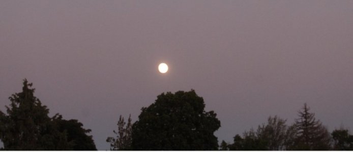 july moon.jpg