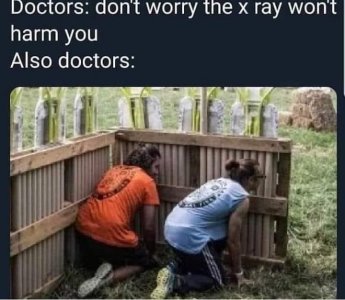 IMG_3528.jpeg