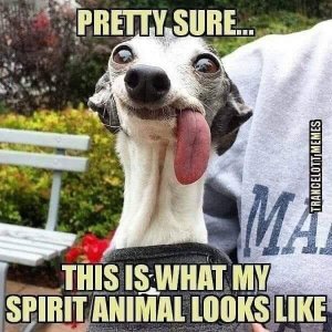 IMG_3526.jpeg
