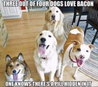 BACON.jpg