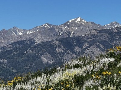 IMG_2649.jpg