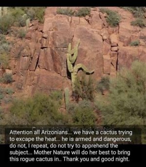 IMG_3546.jpeg