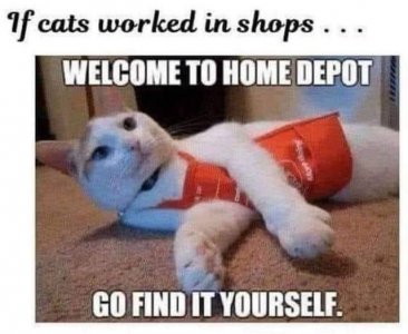 IMG_3514.jpeg
