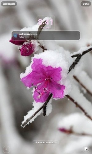 Screenshot_20230702_204119_Wallpaper and style.jpg