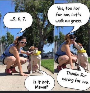 too hot.jpg