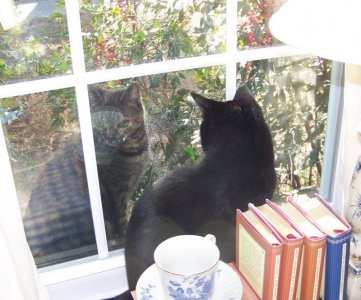 PrincessMarianne.JPG PrincessMarianne.JPG