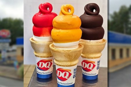 IMG_0411.jpeg IMG_0411.jpeg