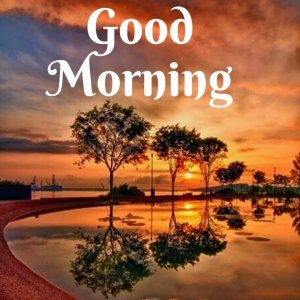 IMG_3560.jpeg