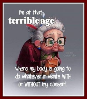 FB_IMG_1685246507882.jpg