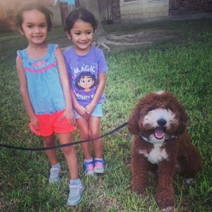 girls and pup #1.jpg