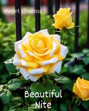 FB_IMG_1686590768652.jpg