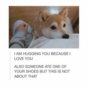 IMG_3591.jpeg