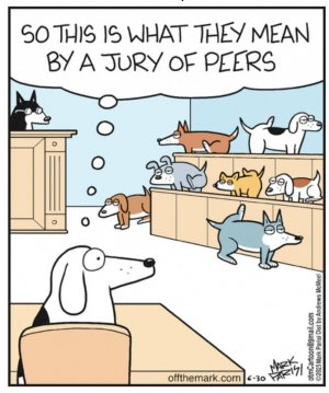 jury sf_n.jpg