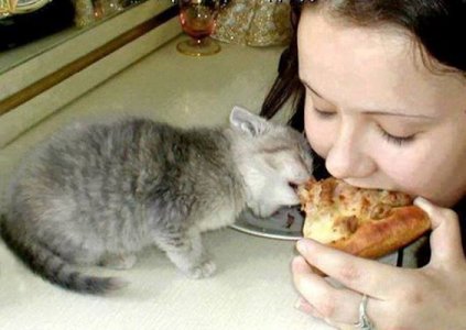Quiche @.jpg