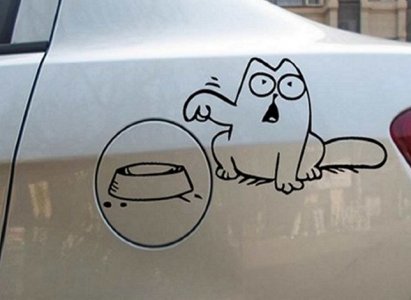 catfillup.jpg