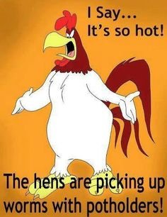 hens.jpg
