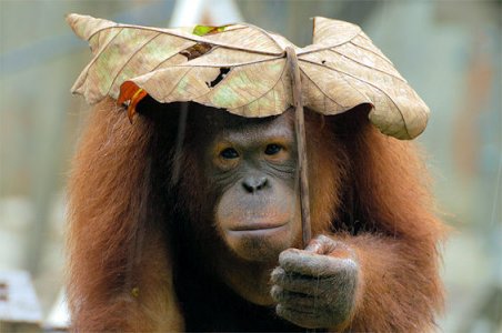 Umbrella @.jpg