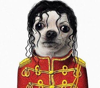 079723mj.jpg