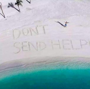 palm joke.jpg