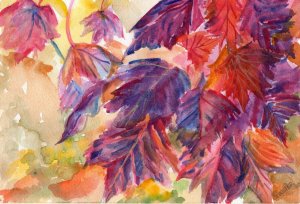 leaves.jpg