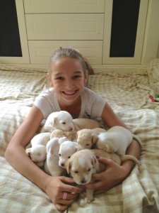 Olivia and puppies.jpg
