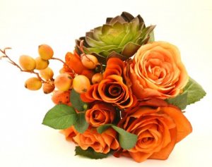 IMG_8806.JPG