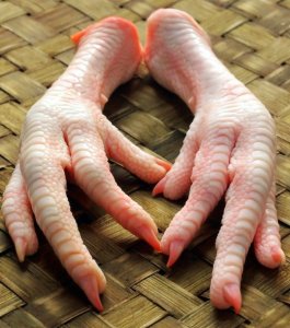 feet.jpg