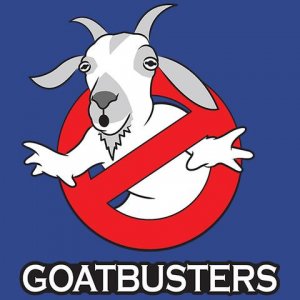 goat.jpg