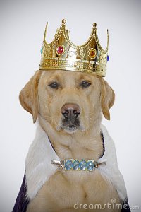 king.jpg
