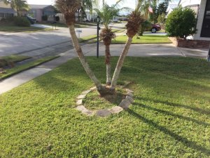 040833A9-D1FA-44F6-9A09-9CABC3DDAE1E.jpeg 040833A9-D1FA-44F6-9A09-9CABC3DDAE1E.jpeg