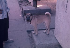 1-15-2007-098.jpg 1-15-2007-098.jpg