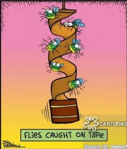 flies1.jpg