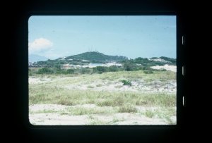 1-15-2007-057.jpg 1-15-2007-057.jpg