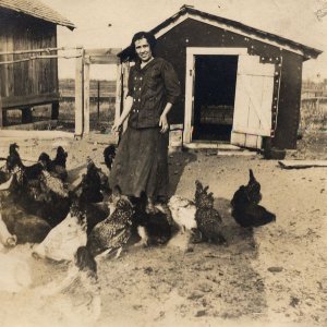 woman-chickens-farmyard.jpg