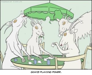goatpoker.jpg