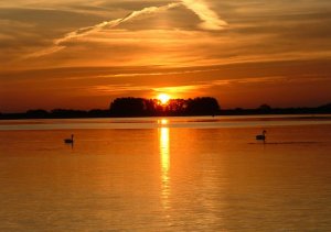 sunset4.jpg