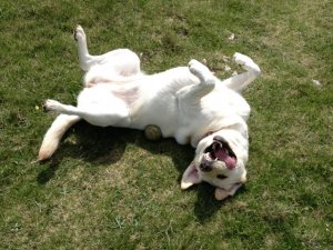 thumb_IMG_1191_1024.jpg
