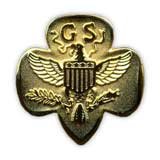 gs pin.jpg