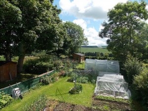 backgarden.jpg