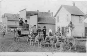 butternut_wisconsin1890s.jpg