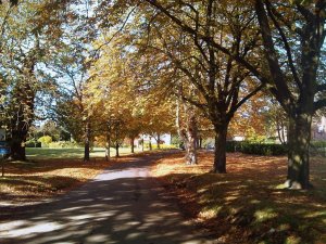 IMG00020-20121012-1251.jpg