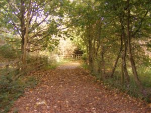 DSCF4809.jpg