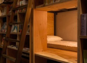 shelfbed.jpg