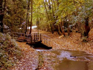 DSCF0523.jpg