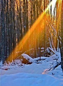 sunsnow2.jpg sunsnow2.jpg