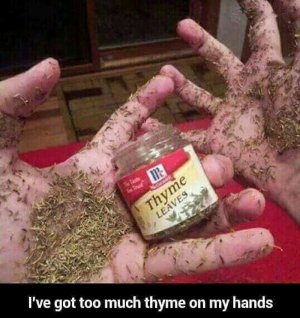 thyme.jpg