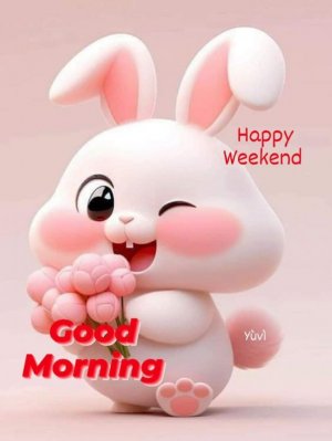 FB_IMG_1688798894311.jpg