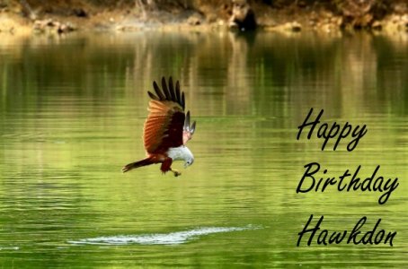 hbhawkdon.jpg